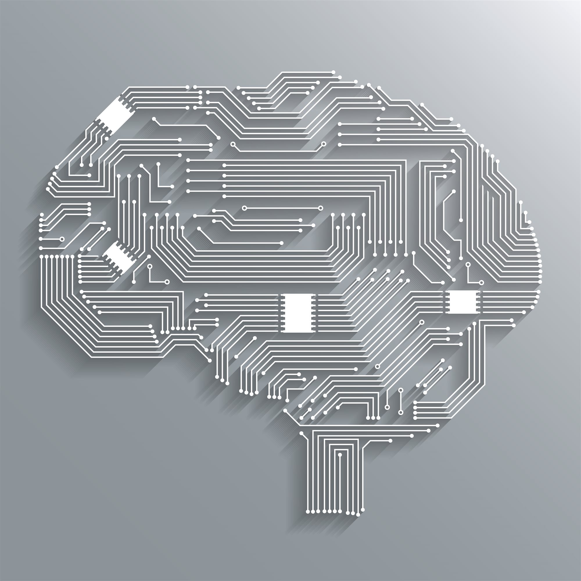 EL CEREBRO DIGITAL